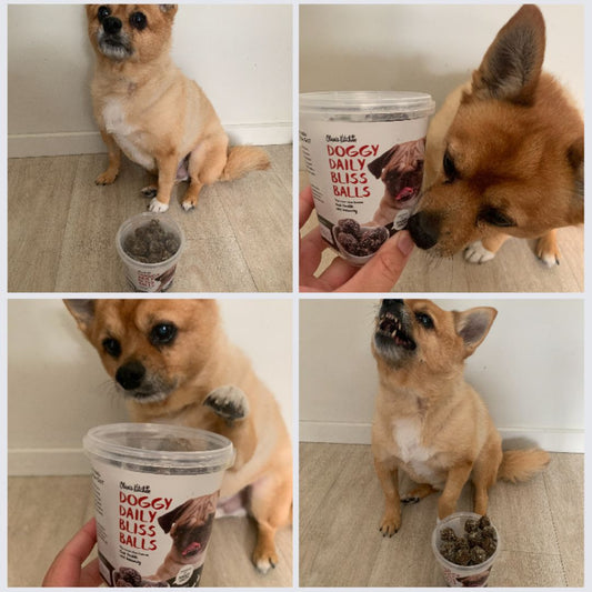 Daily Dose of Bliss Balls Please!