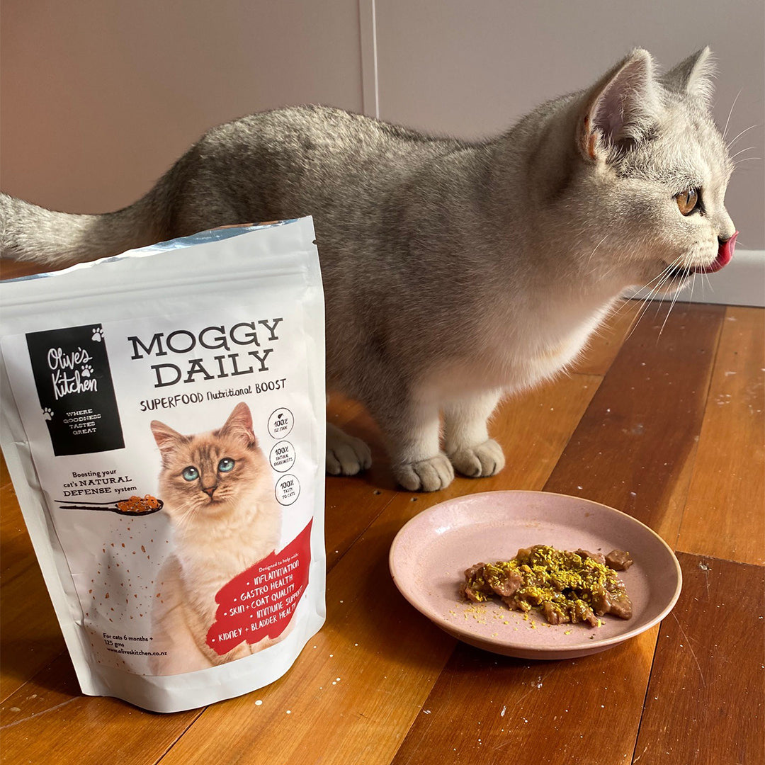 Blue Loves Moggy Daily!