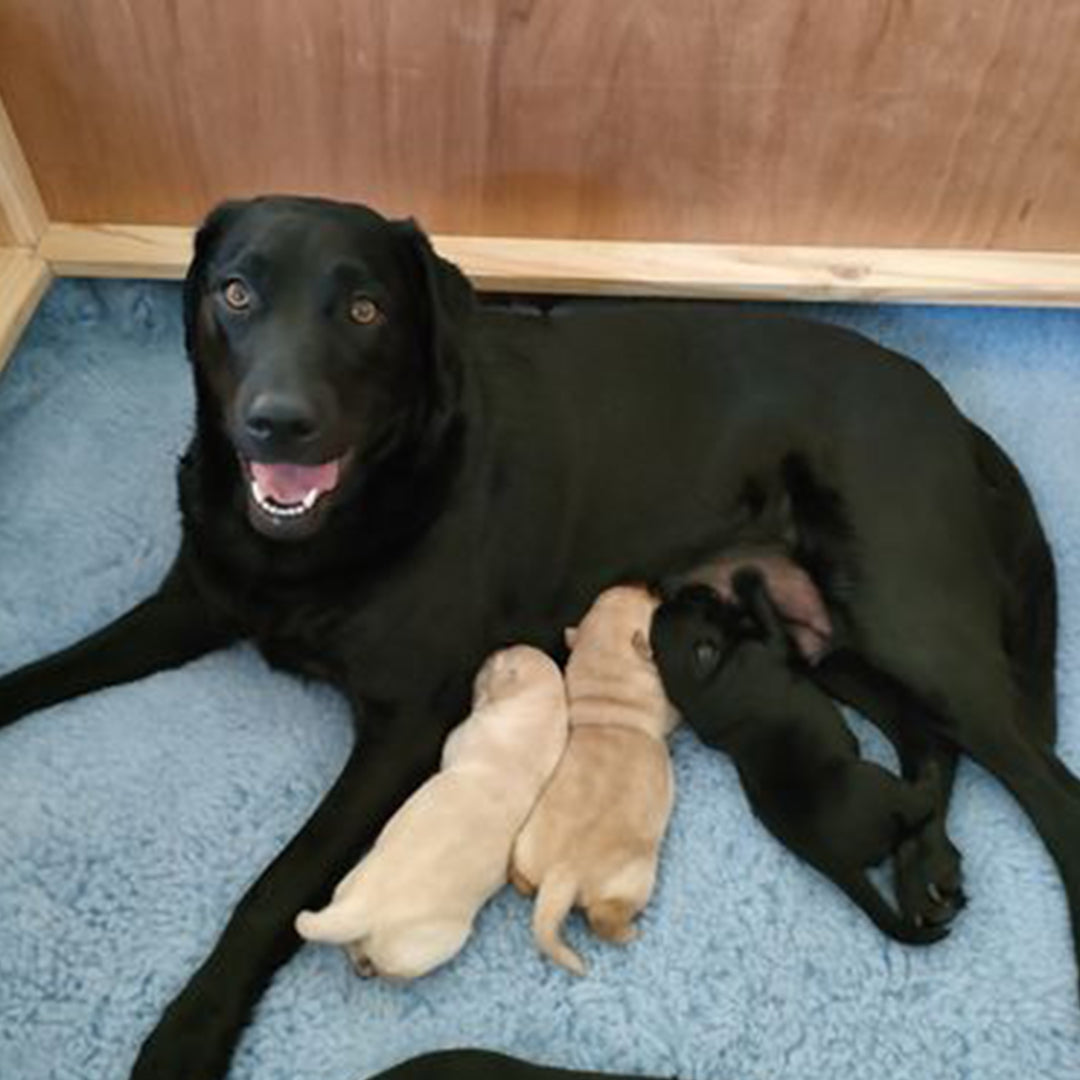 Gave our special girl all the goodness she needed