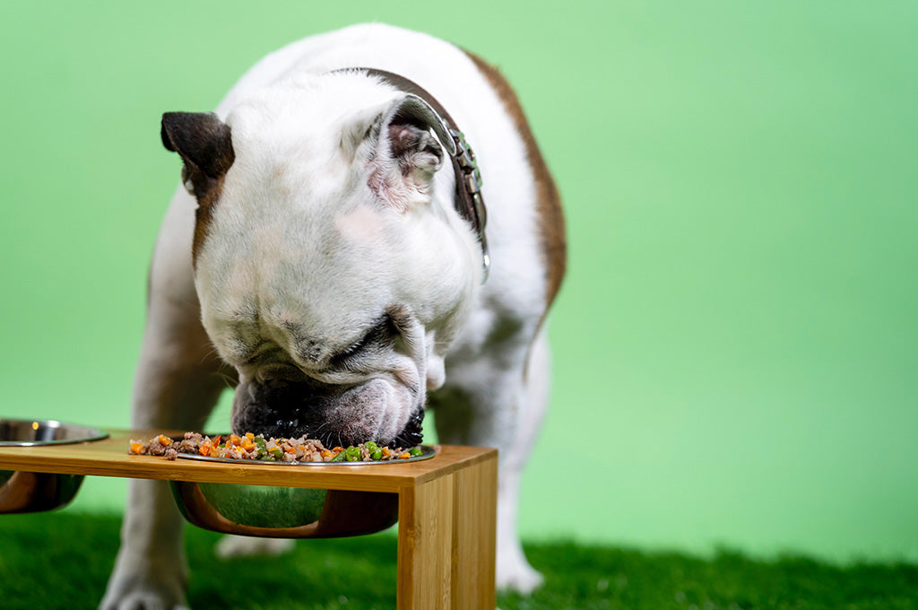 Human food to avoid feeding your pets