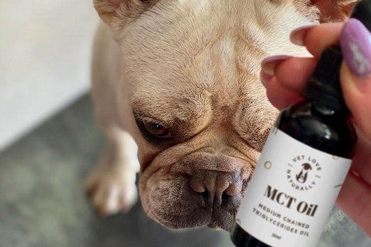 Four Great Reasons to Add MCT Oil to Your Pet’s Diet