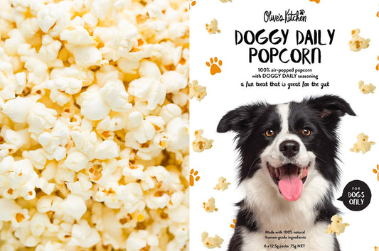 Can Dogs Eat Popcorn?