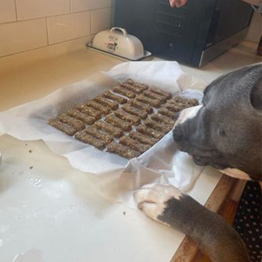 Roku loves his doggy biscuits!