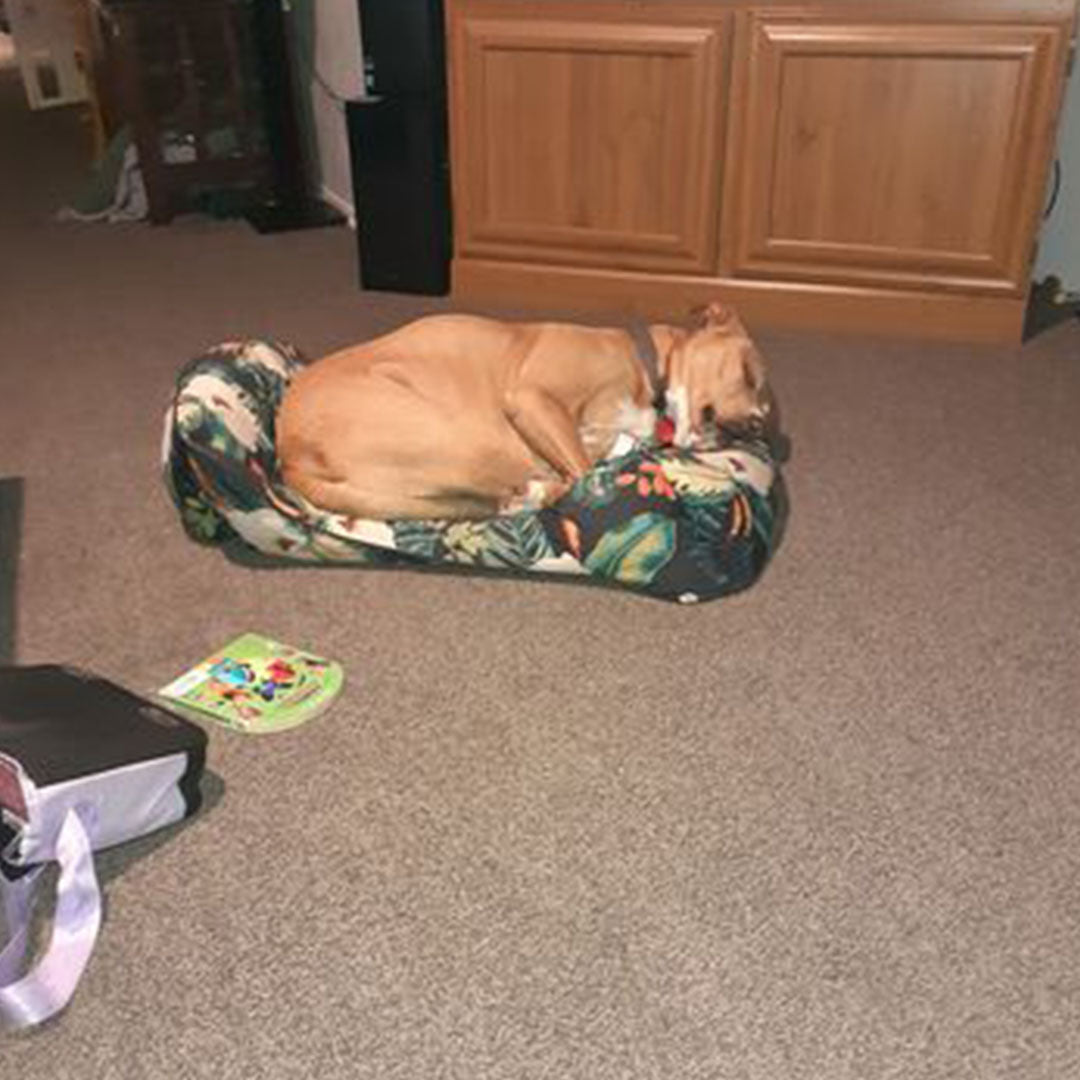 Doggy Daily Senior works wonders!