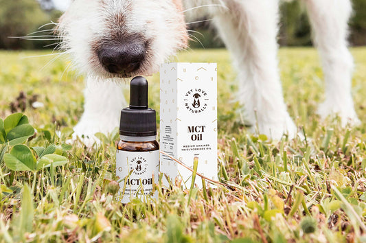 MCT Oil for Dogs.