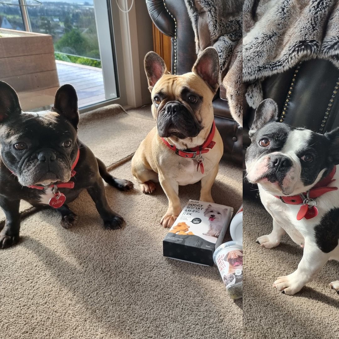 Olive's Kitchen Superfans!