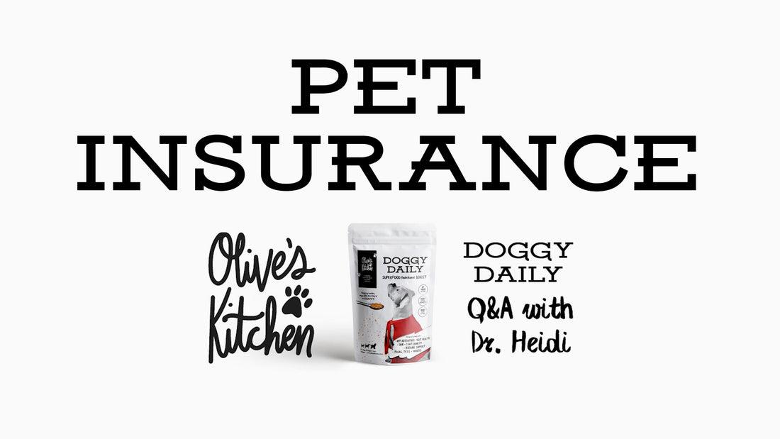 Pet Insurance