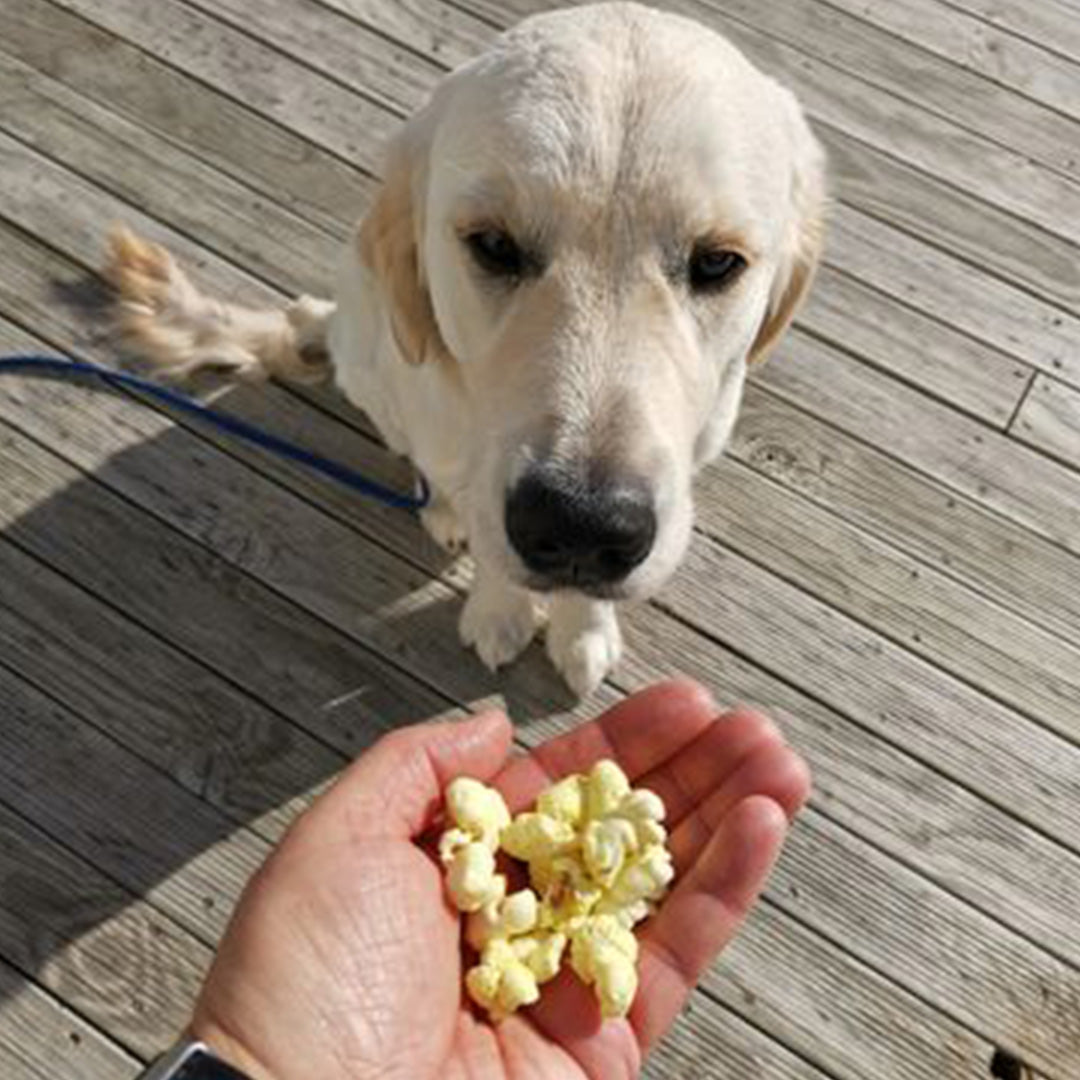 5 🐾 rating for the popcorn!