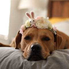 Daisy Easter Floral Headband