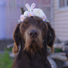 Daisy Easter Floral Headband