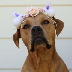 Daphne Easter Floral Headband
