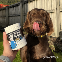 Doggy Daily Immunity Boost for SENIOR Dogs - 250g