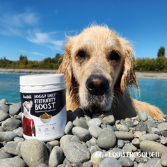 Doggy Daily Immunity Boost Supplement - 150g