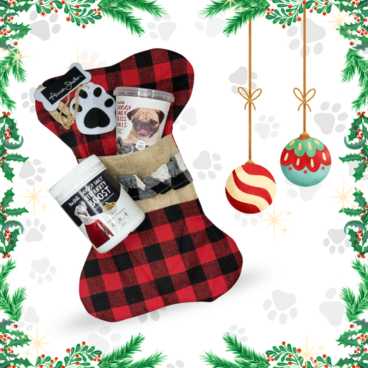 Doggy Daily Stocking Bundle