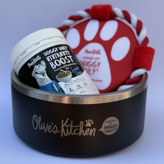 Senior Doggy Daily Starter Pack