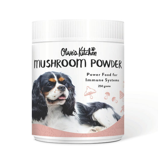 Dog Mushroom Powder - 250gms | Turkey Tail