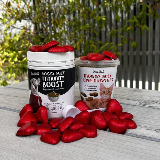 DOGGY DAILY V-DAY DUO PACK