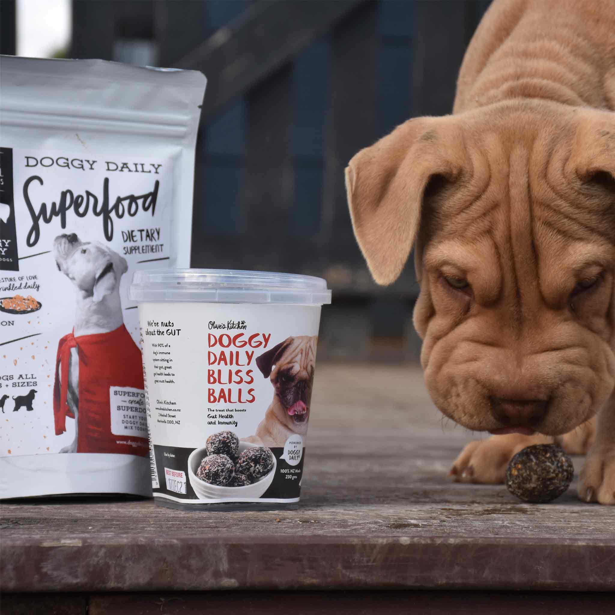 Dog enjoying the bliss balls from the Doggy Daily and Bliss Balls bundle