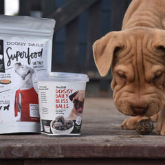 Dog enjoying the bliss balls from the Doggy Daily and Bliss Balls bundle