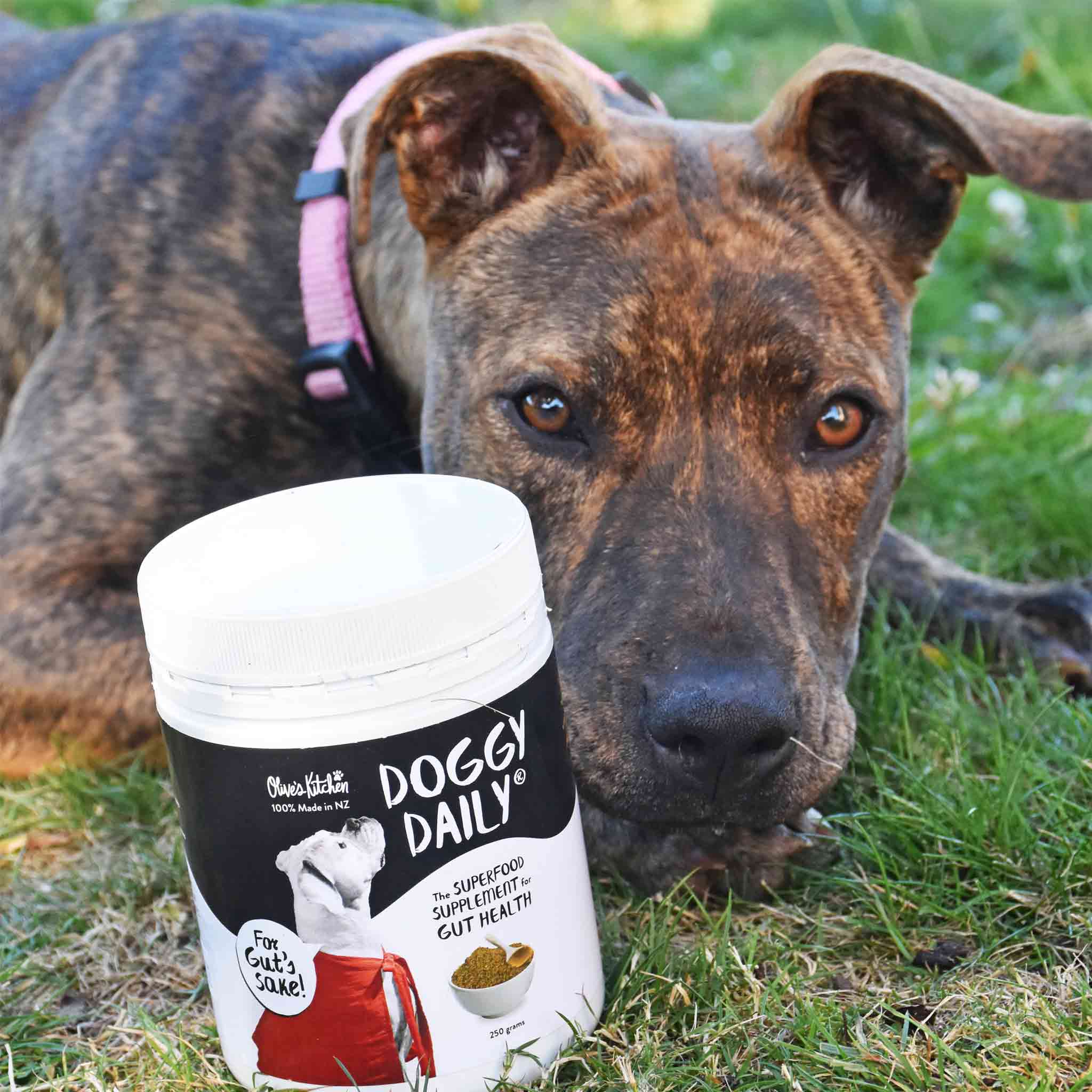 doggy daily superfood supplement for dog food