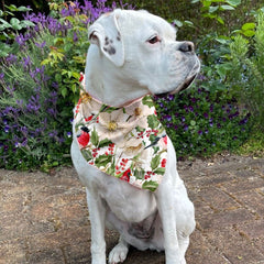 Christmas Dog Bandana - White Christmas