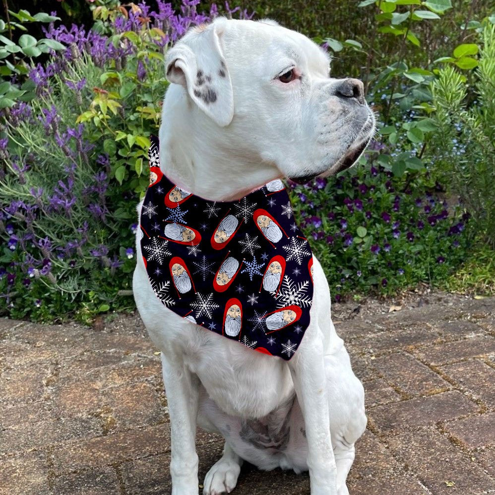 Christmas Dog Bandana - Mad Santa