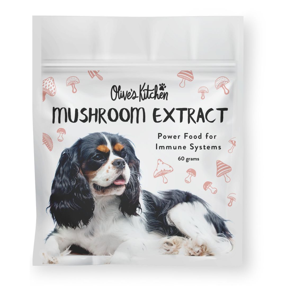 Dog Mushroom Extract - 90gms