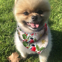 Christmas Dog Bandana - White Christmas